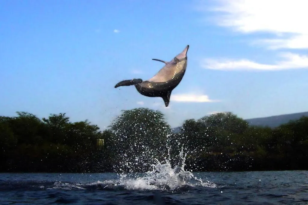 Semesterbostad Ponomana Oasis'S - Serenity Cottage Captain Cook USA